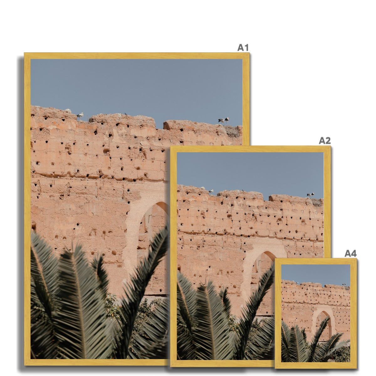 Badia Palm Arch
