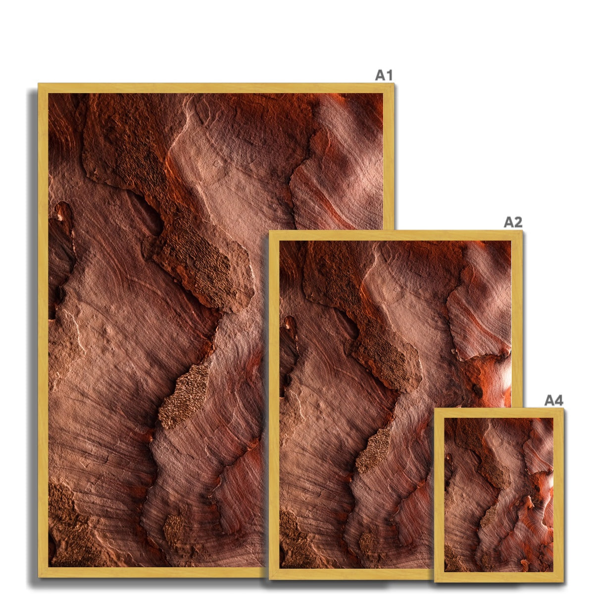 Petra Erosion VII