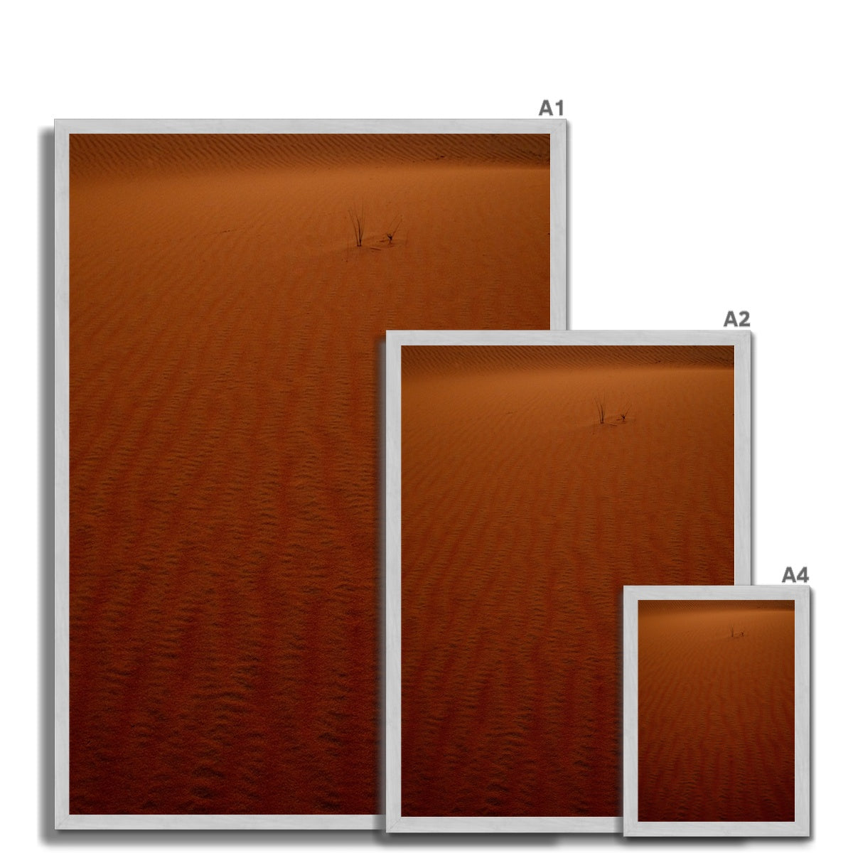 Arabian Sands | Tiger Lily Glow