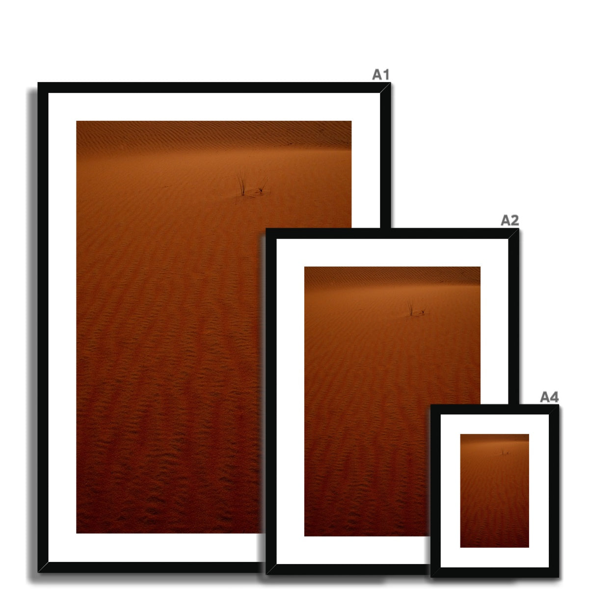 Arabian Sands | Tiger Lily Glow