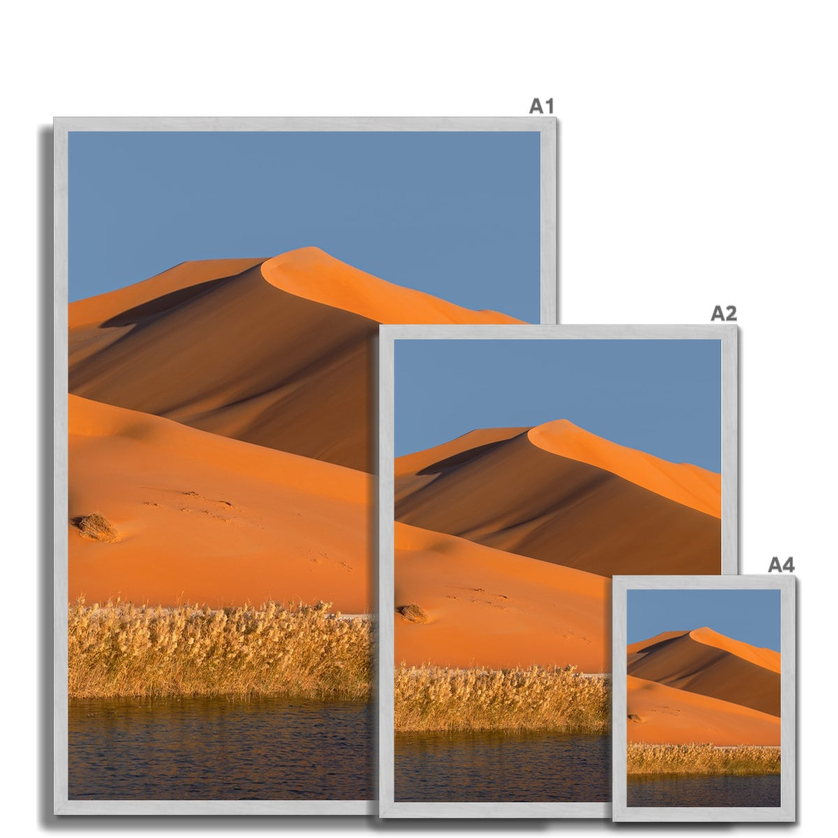 Empty Quarter | Dune Oaze
