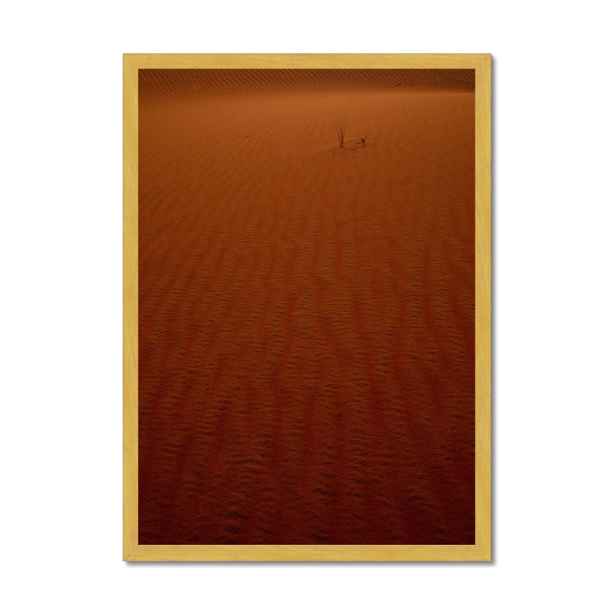Arabian Sands | Tiger Lily Glow