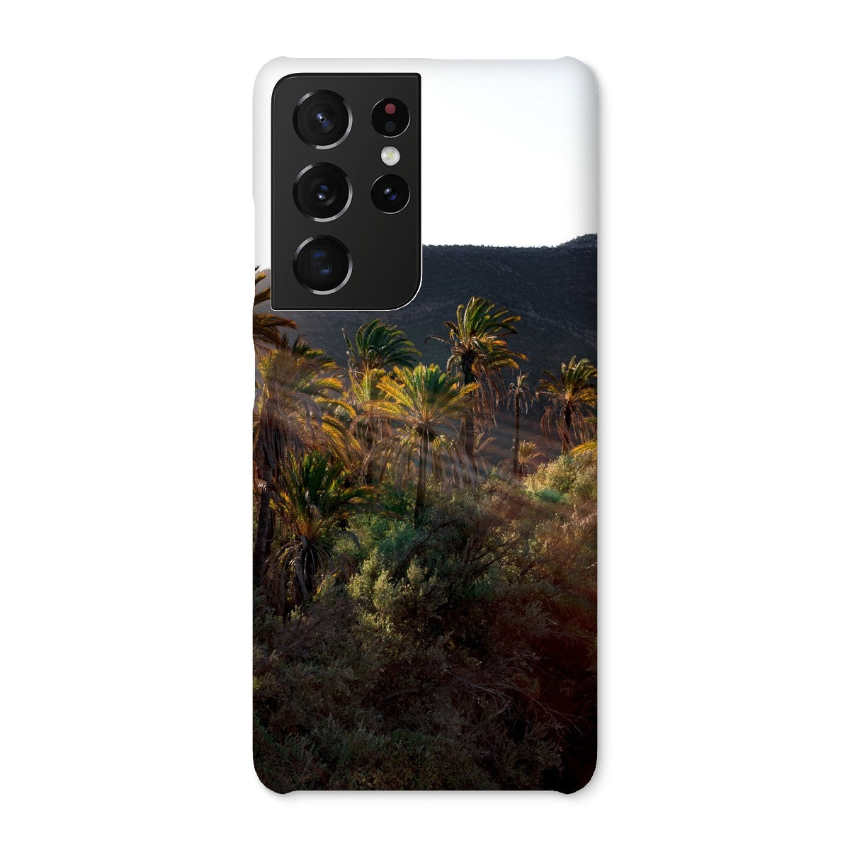 Palm Rays Snap Phone Case