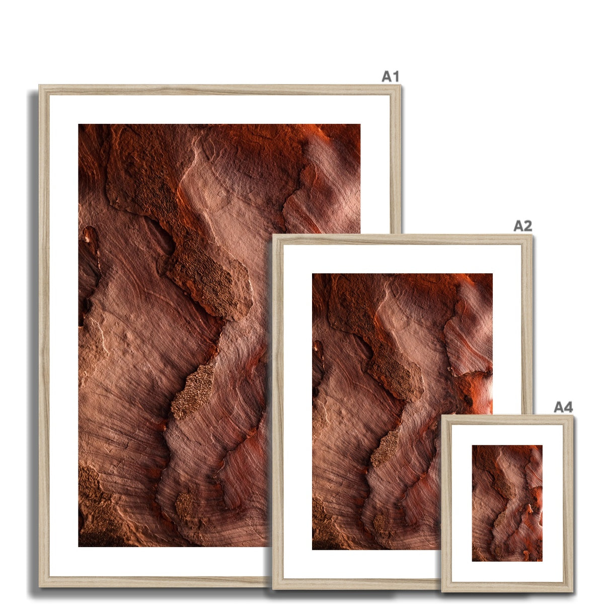 Petra Erosion VII