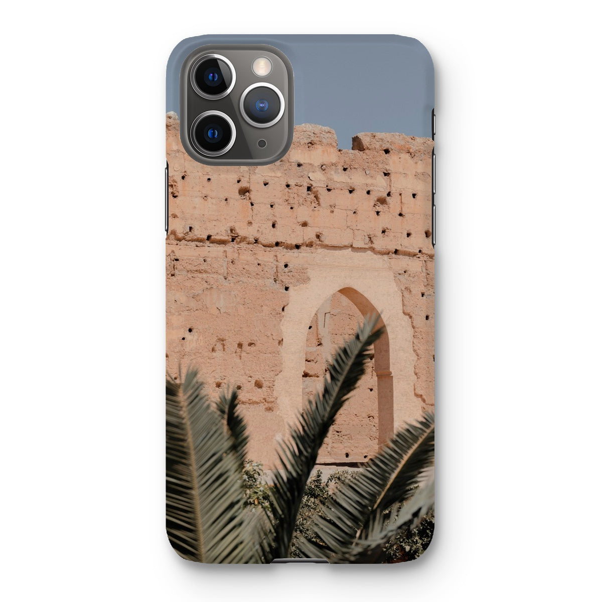 Badia Palm Arch Snap Phone Case