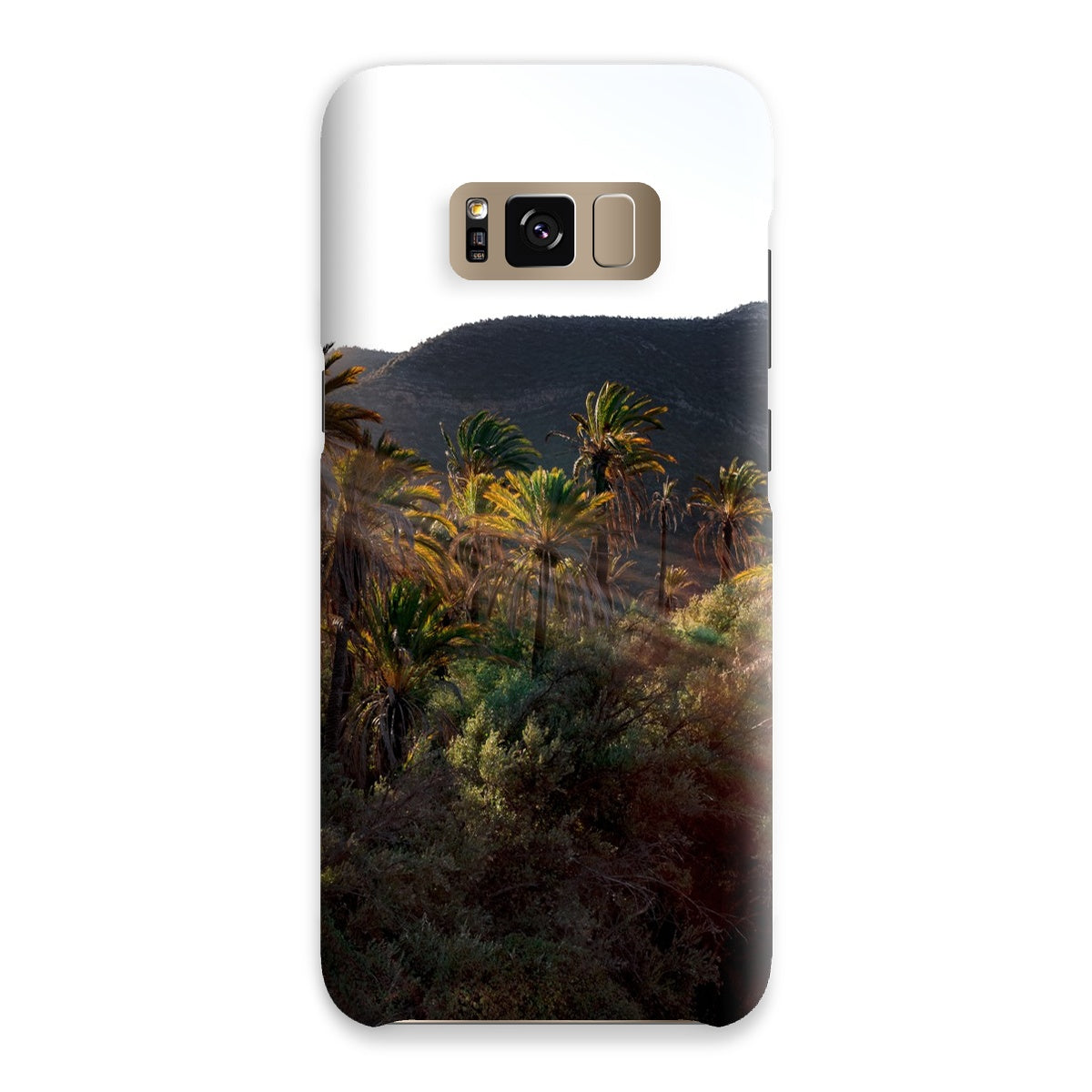 Palm Rays Snap Phone Case