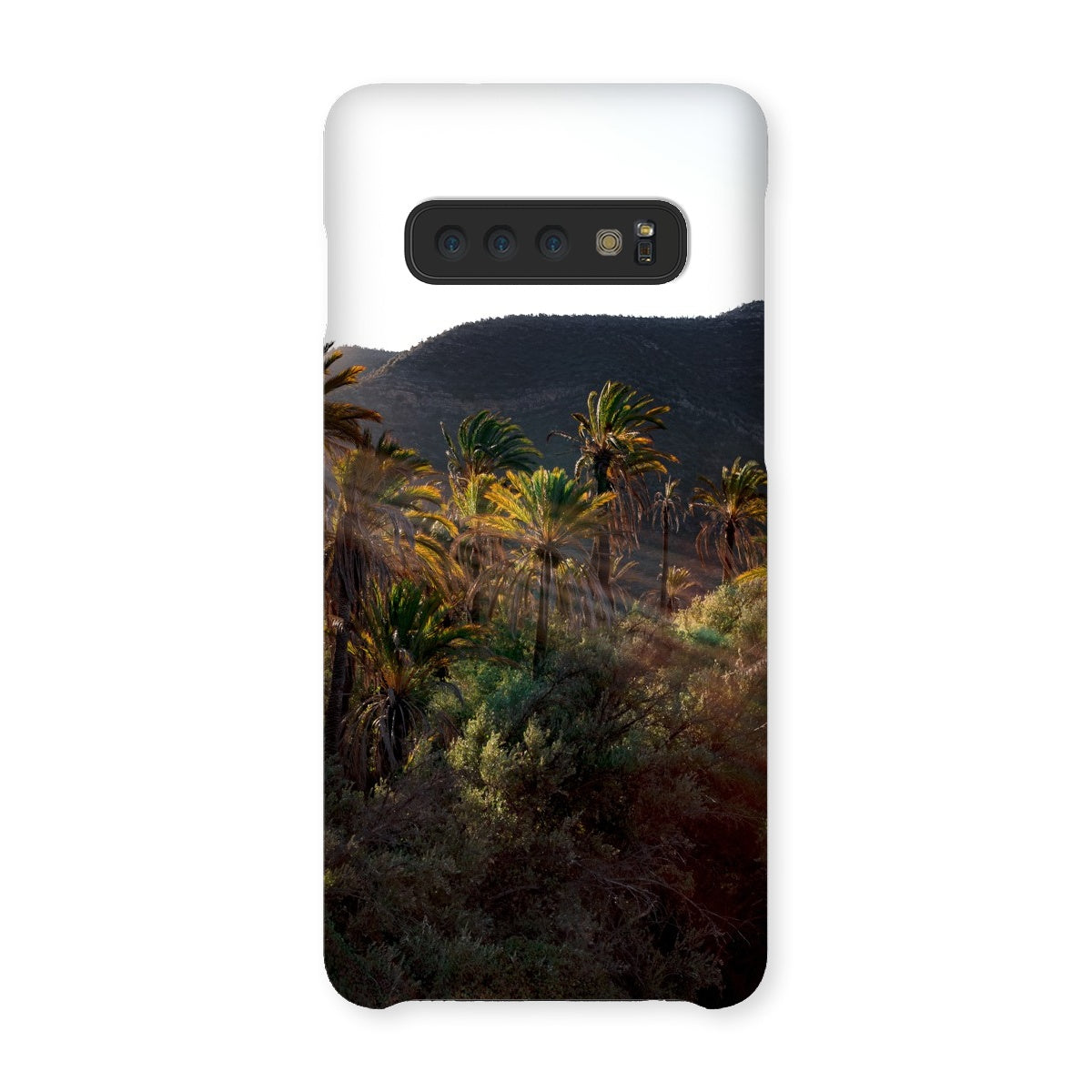 Palm Rays Snap Phone Case