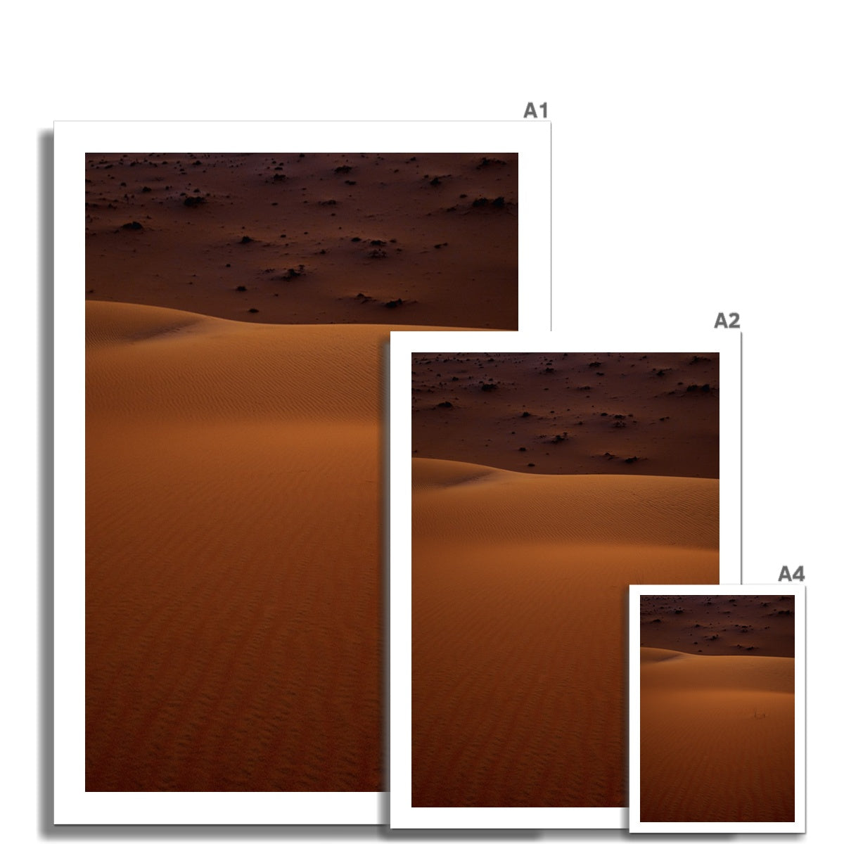 Serene | Empty Quarter
