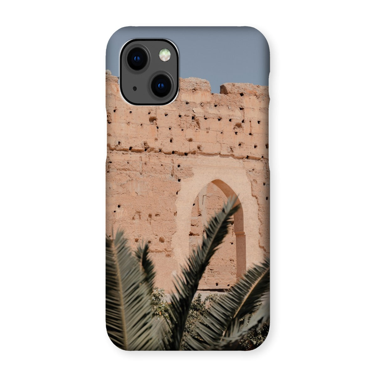 Badia Palm Arch Snap Phone Case