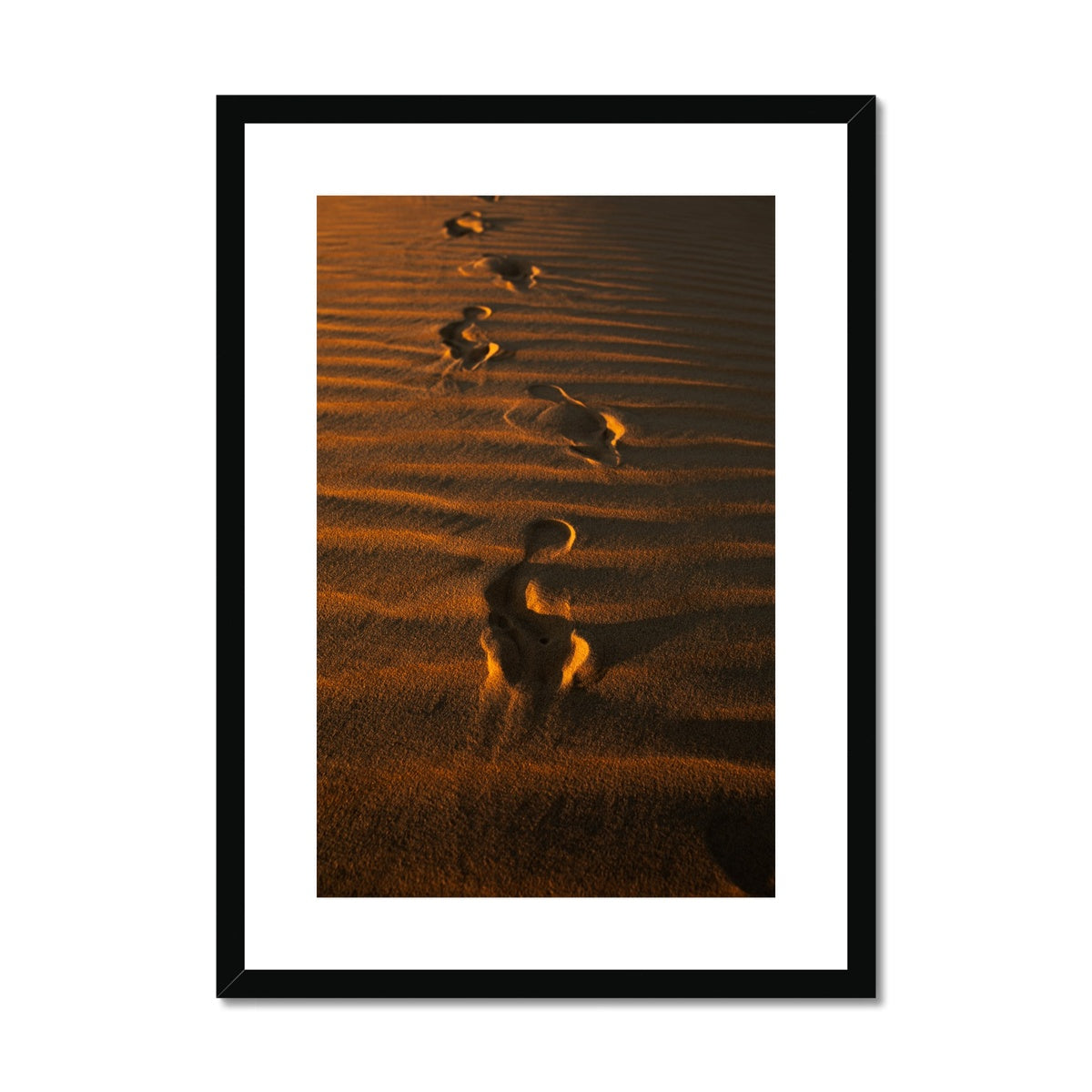 In the Footsteps of the Arabs | Empty Quarter