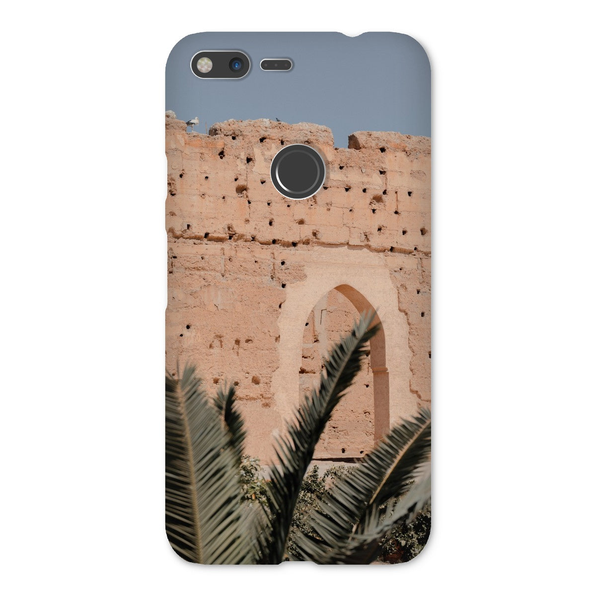 Badia Palm Arch Snap Phone Case