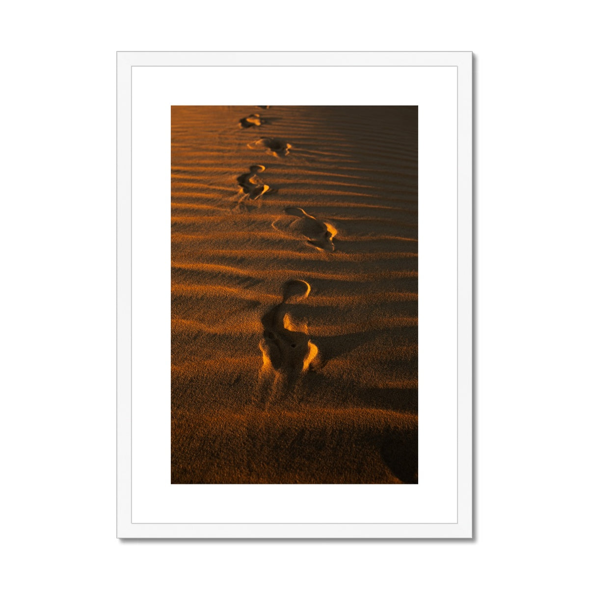 In the Footsteps of the Arabs | Empty Quarter
