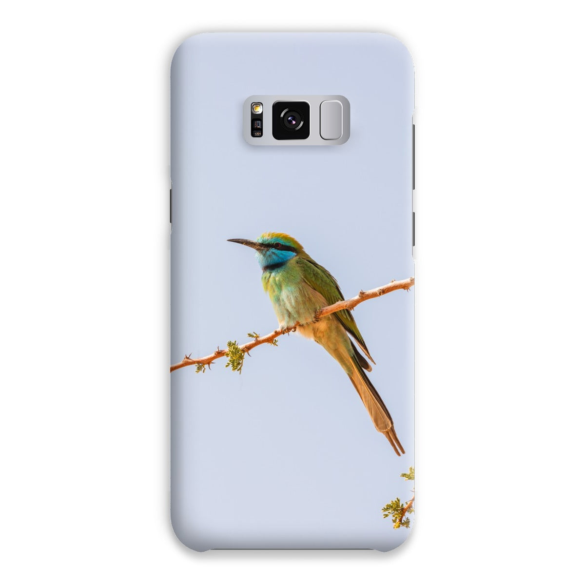 Arabian Green Bea-Eater Snap Phone Case