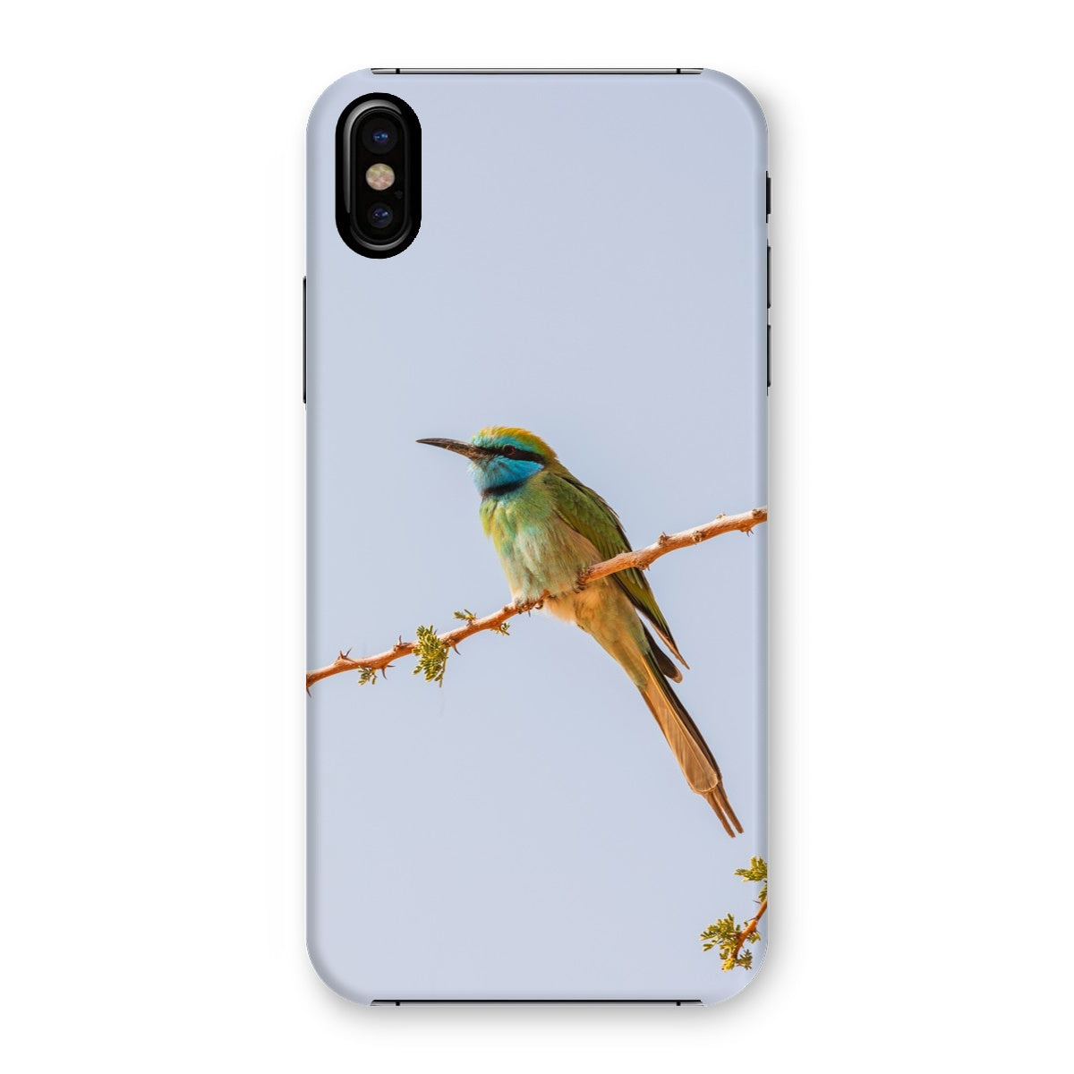 Arabian Green Bea-Eater Snap Phone Case