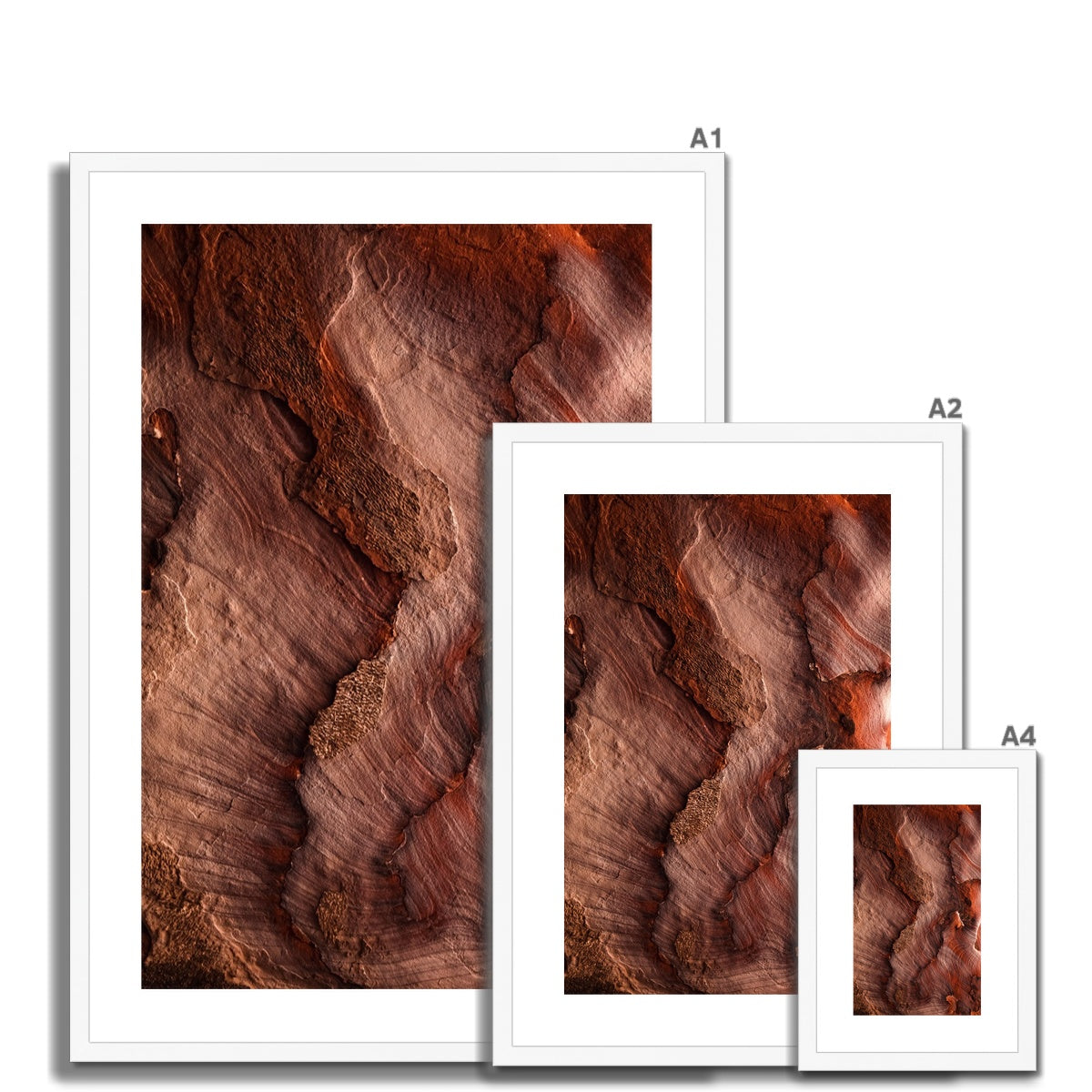 Petra Erosion VII