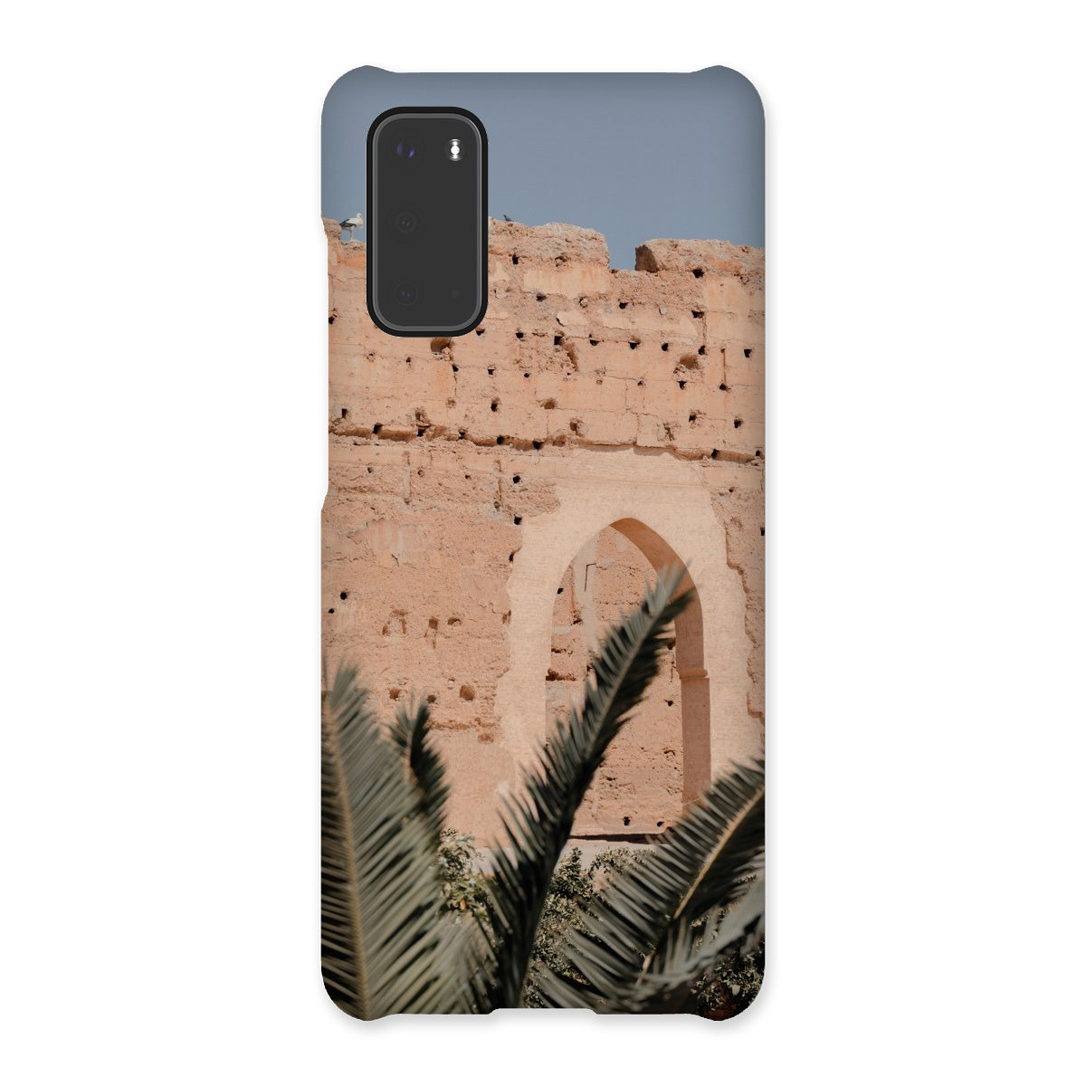 Badia Palm Arch Snap Phone Case