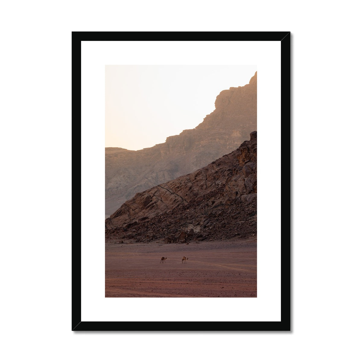 Wadi Rum Roamers