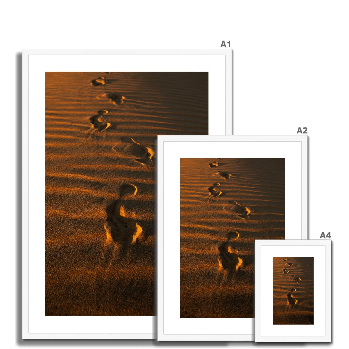 In the Footsteps of the Arabs | Empty Quarter