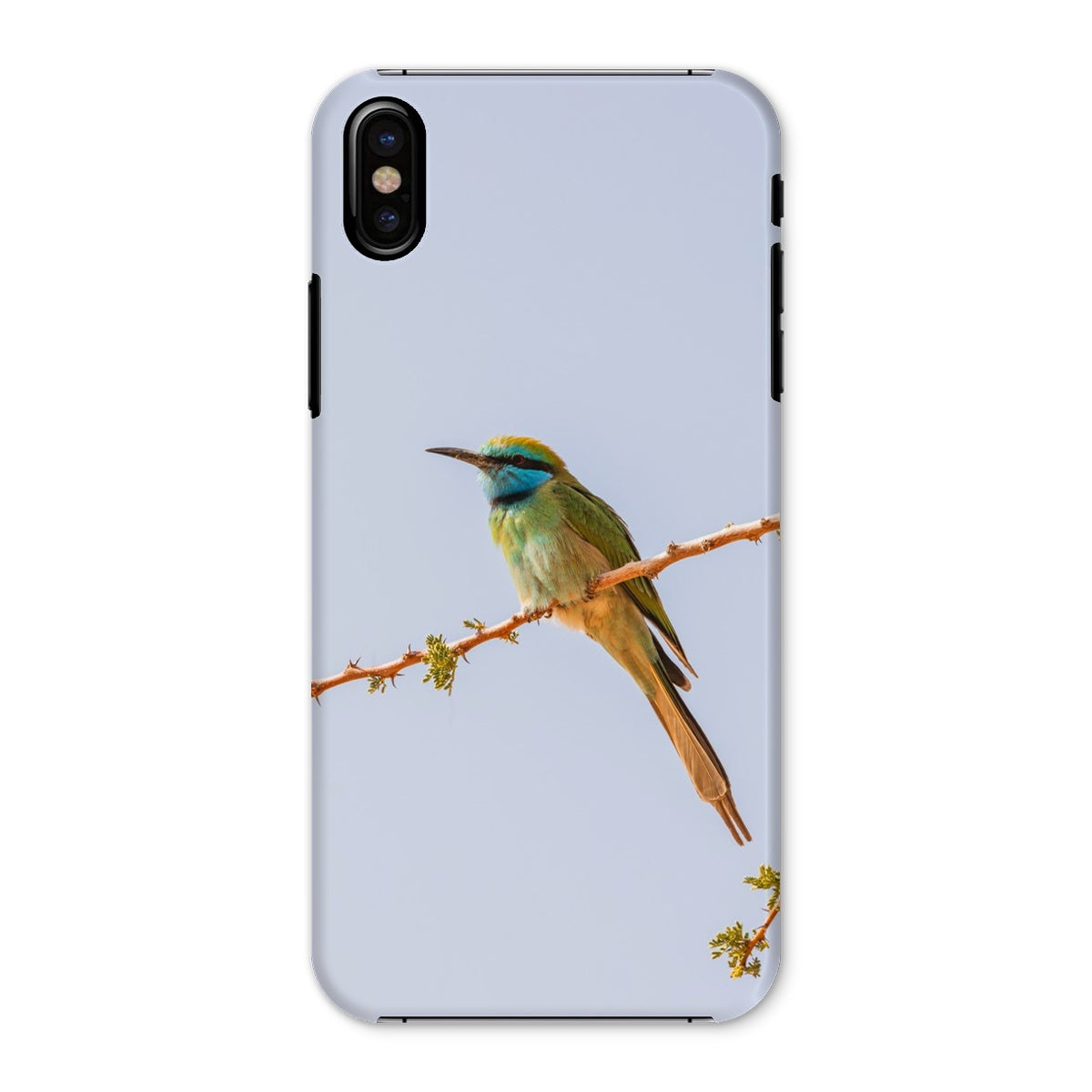 Arabian Green Bea-Eater Snap Phone Case