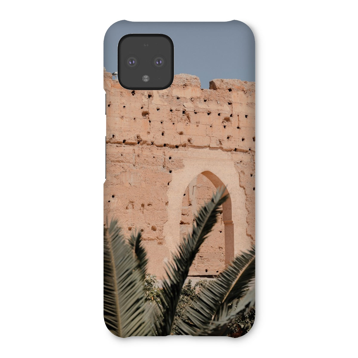 Badia Palm Arch Snap Phone Case