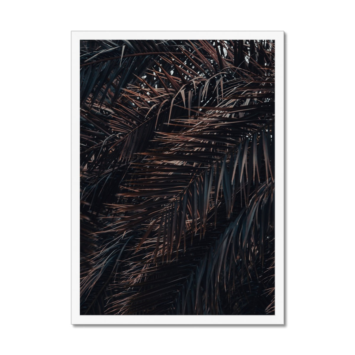 Saudi Palms