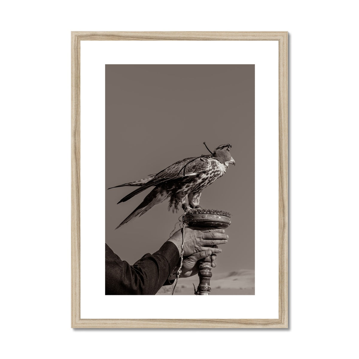 Falconry