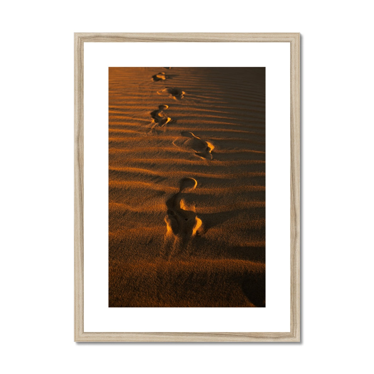 In the Footsteps of the Arabs | Empty Quarter