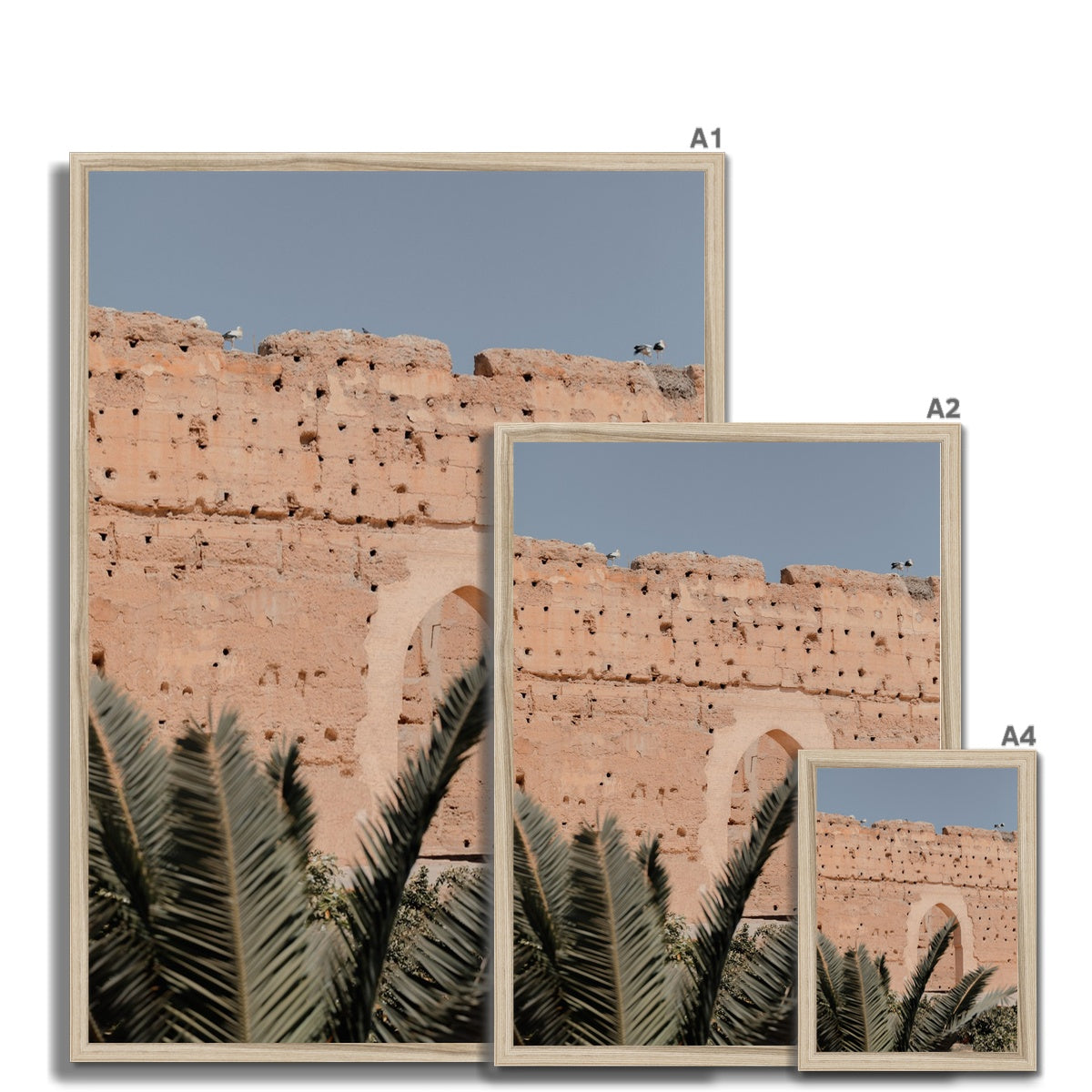 Badia Palm Arch