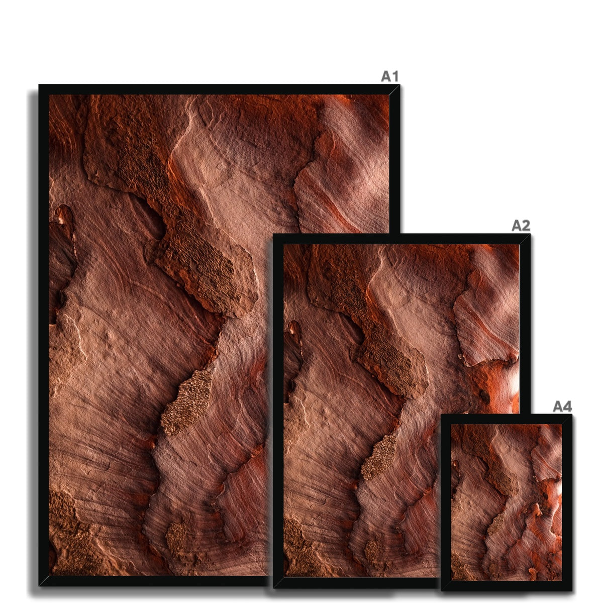 Petra Erosion VII