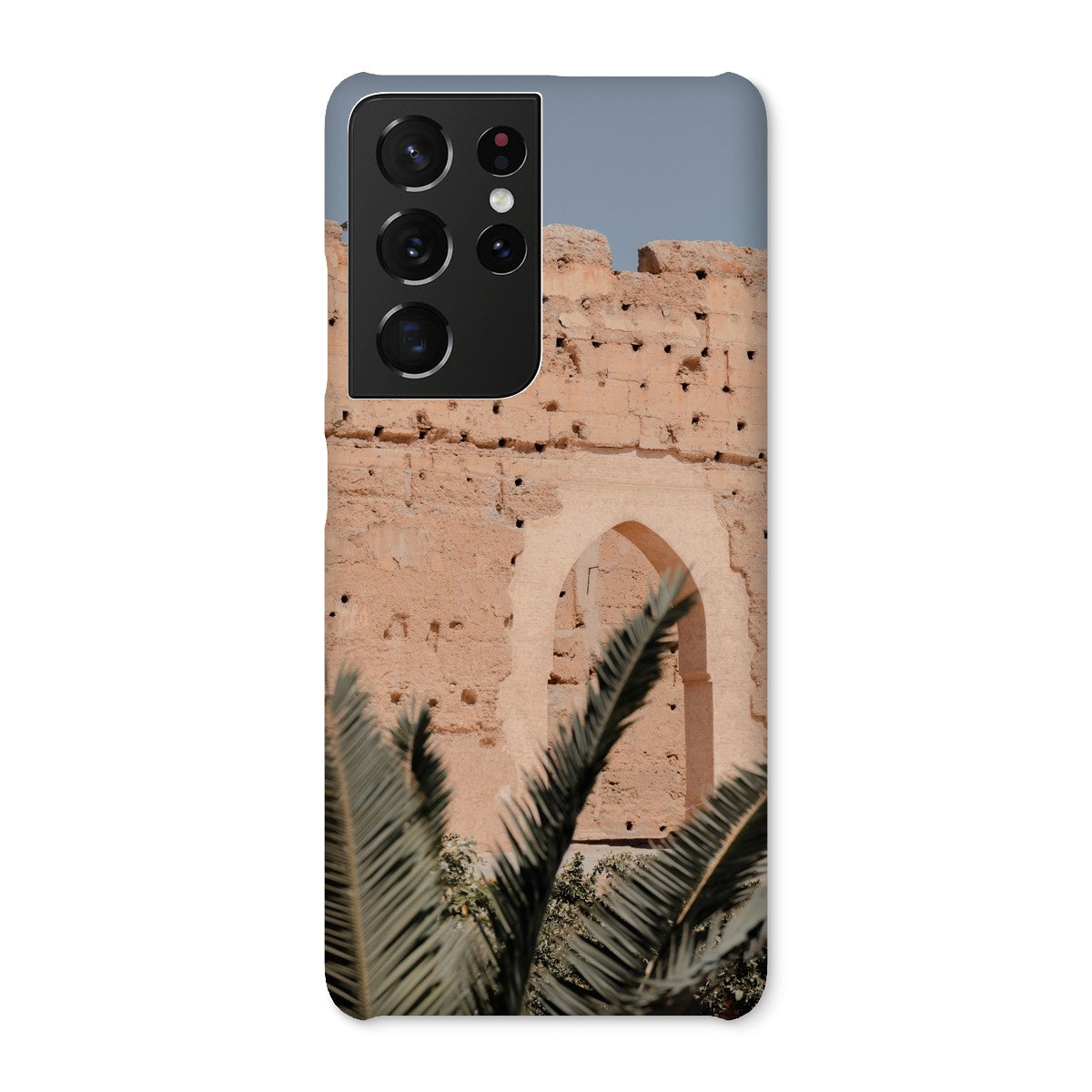 Badia Palm Arch Snap Phone Case