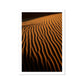 Arabian Sands | Merigolden Glow