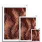 Petra Erosion VII