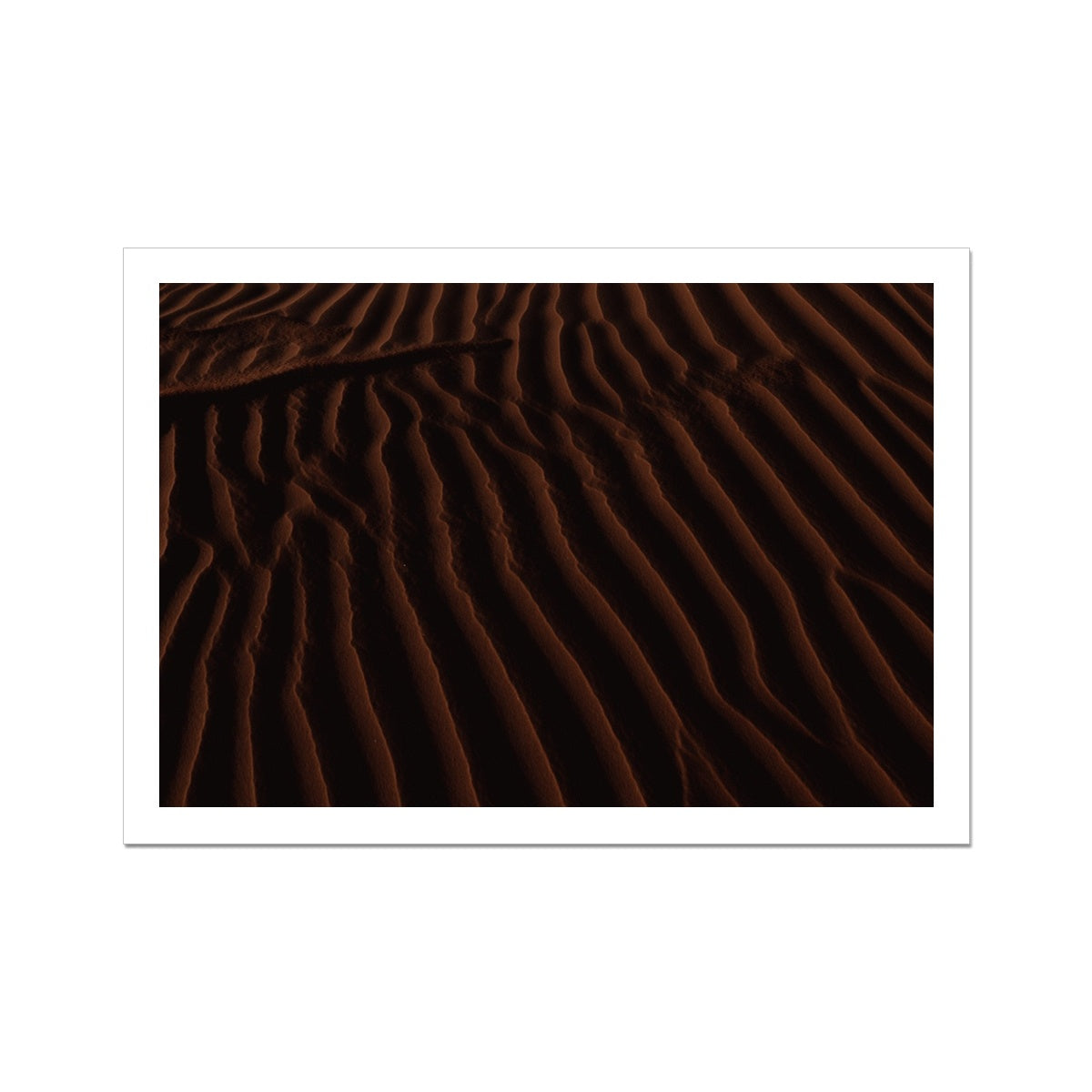 Arabian Sands | Carob Glow I