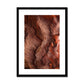 Petra Erosion VII
